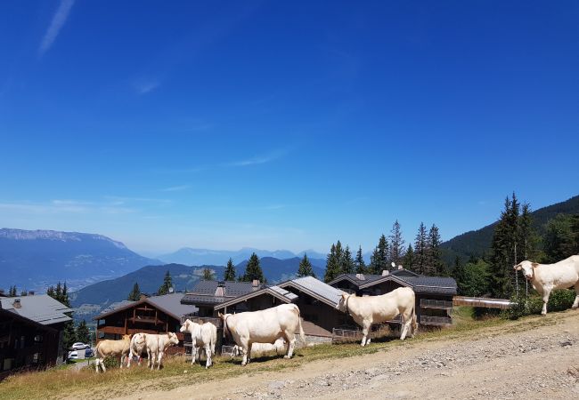 Apartment in Prapoutel - E303 - 55 m2 - 3P - 6 pers Apartment in Prapoutel - E303 - 55 m2 - 3P - 6 pers