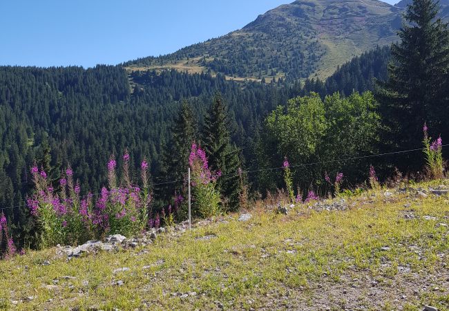 Apartment in Prapoutel - E303 - 55 m2 - 3P - 6 pers Apartment in Prapoutel - E303 - 55 m2 - 3P - 6 pers