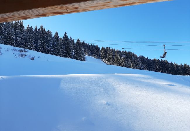 Apartment in Prapoutel - F101 - 40 m2 - 2P - 2/4 pers Apartment in Prapoutel - F101 - 40 m2 - 2P - 2/4 pers