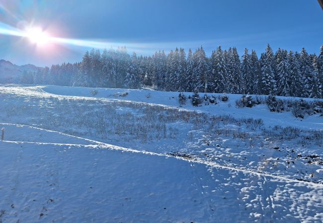 Appartement à Prapoutel - F305 - 90 m2 - 5P - 12 pers Appartement à Prapoutel - F305 - 90 m2 - 5P - 12 pers