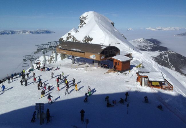 Appartement à Prapoutel - F204 - 46 m2 -  2P+Cab - 4/6 pers Appartement à Prapoutel - F204 - 46 m2 -  2P+Cab - 4/6 pers