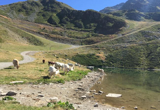 Appartement à Prapoutel - F204 - 46 m2 -  2P+Cab - 4/6 pers Appartement à Prapoutel - F204 - 46 m2 -  2P+Cab - 4/6 pers