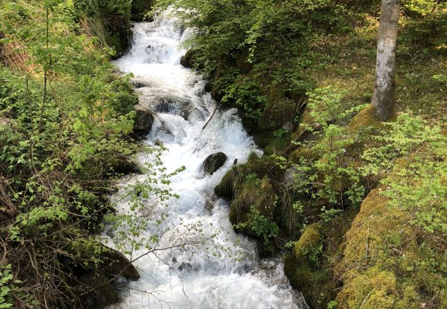 Appartement à Prapoutel - F204 - 46 m2 -  2P+Cab - 4/6 pers Appartement à Prapoutel - F204 - 46 m2 -  2P+Cab - 4/6 pers