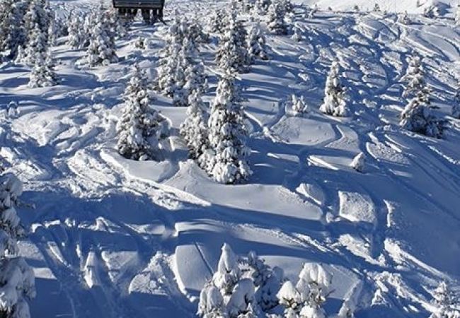 Appartement à Prapoutel - F204 - 46 m2 -  2P+Cab - 4/6 pers Appartement à Prapoutel - F204 - 46 m2 -  2P+Cab - 4/6 pers